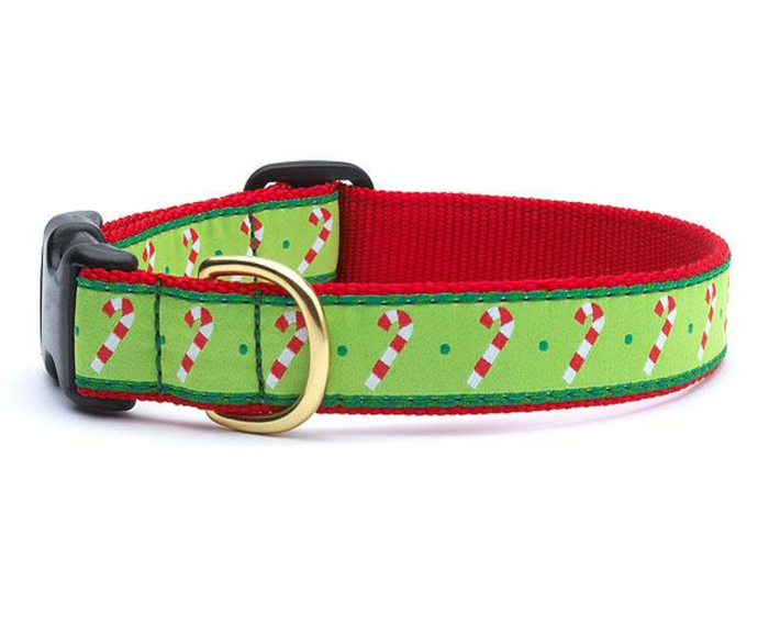Candy Cane Dog Collar