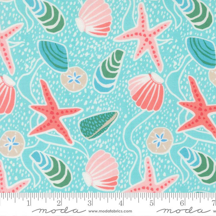 F2571 - Reef Sea Shells, Surf