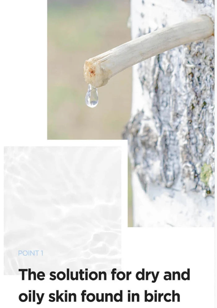Birch tree with a drop of sap dripping, text about skin care solution.