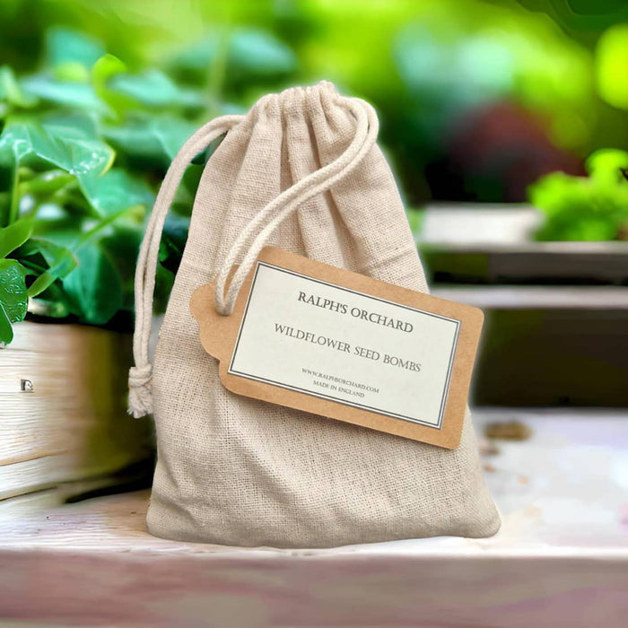 Bee & Butterfly-Friendly Seed Bombs