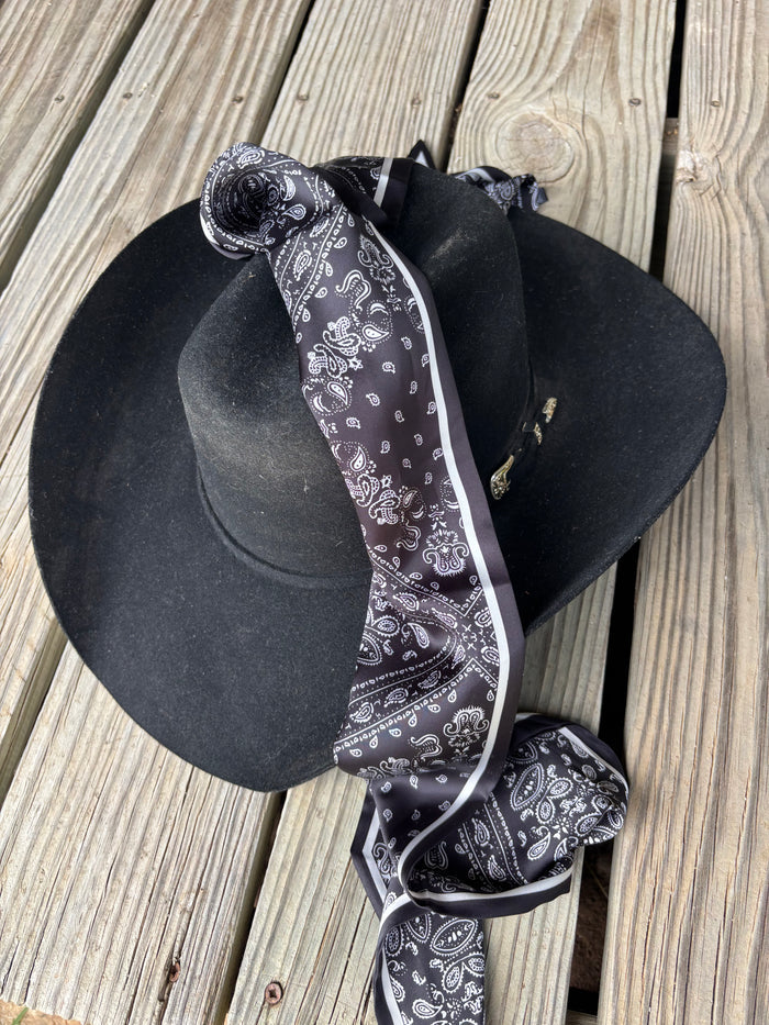 Black Paisley Twilly