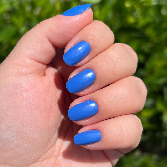 Hand with Blue Canoe | Round | Short press-on nails in vibrant medium denim blue matte finish against green outdoor background