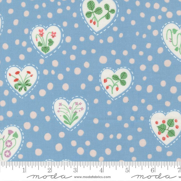 F2549 - Funny Valentine Sky