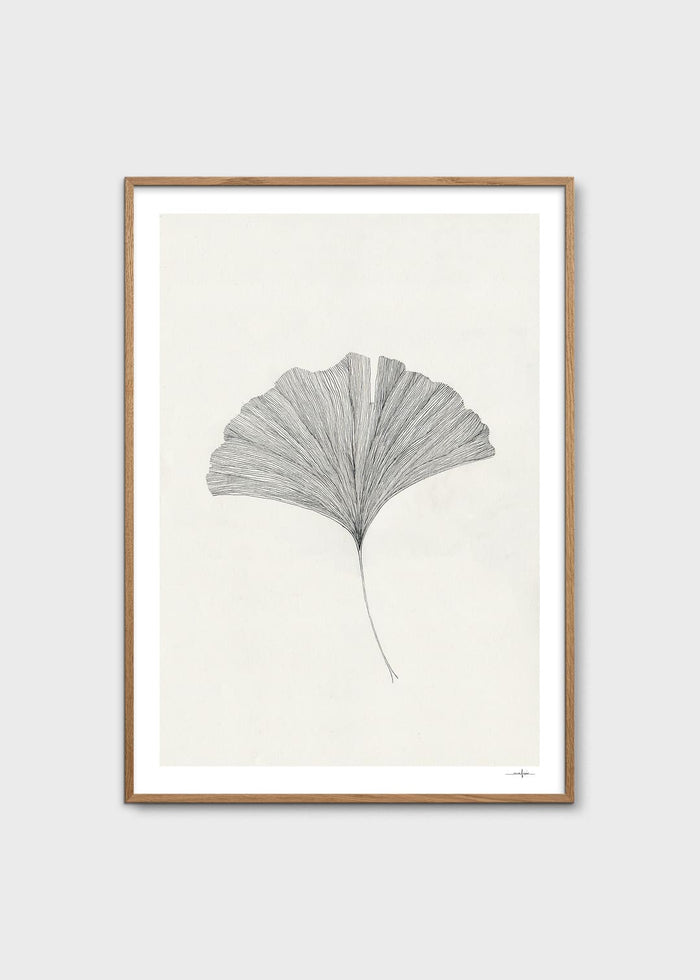 Ginkgo Leaf by Ana Frois