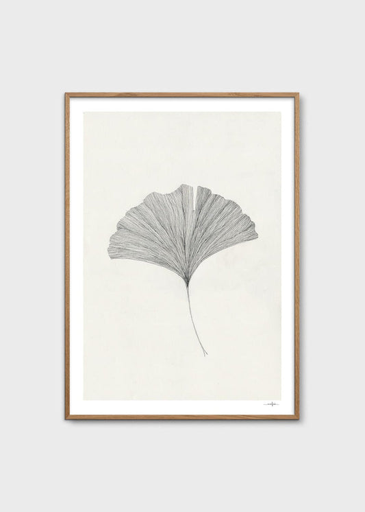Ginkgo Leaf by Ana Frois