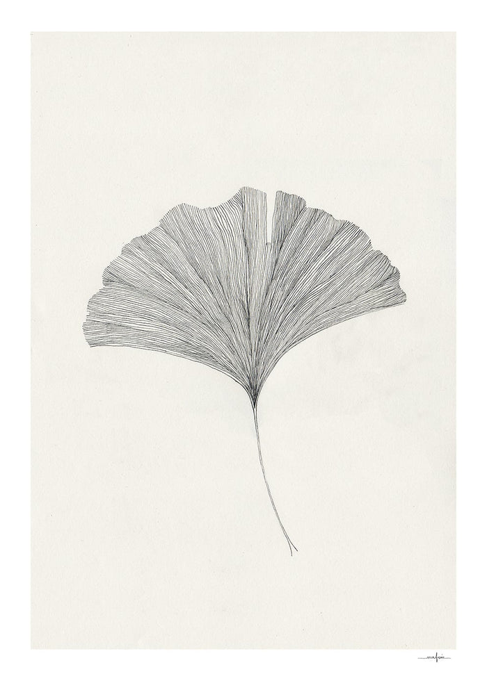 Ginkgo Leaf by Ana Frois
