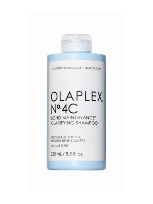 OLA62163.jpg