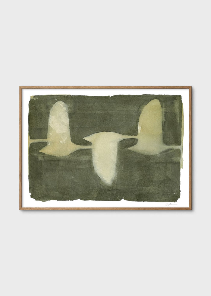 Swans by Jörgen Hansson