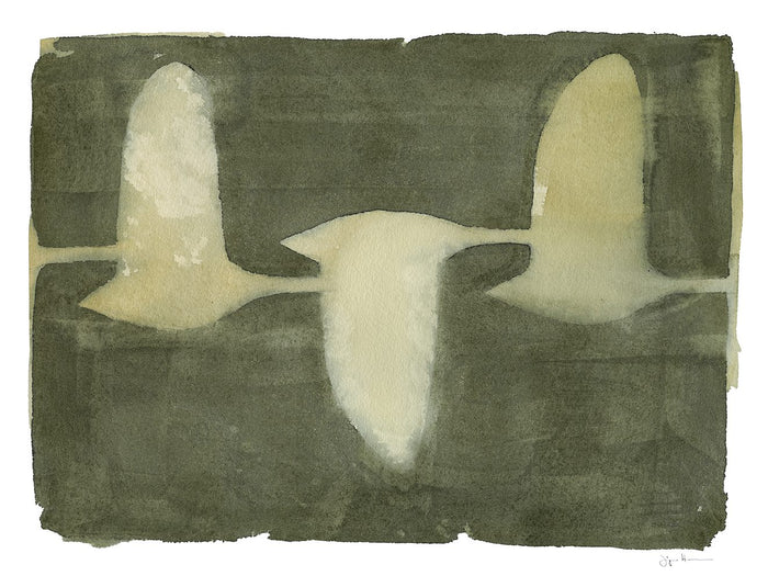 Swans by Jörgen Hansson