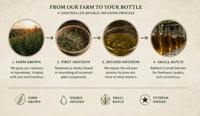 Infographic detailing a controlled double-infusion process for rosemary from farm to bottle.