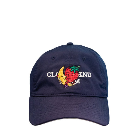Vintage Strawberry Moon Hat Hats Sky High Farm Goods