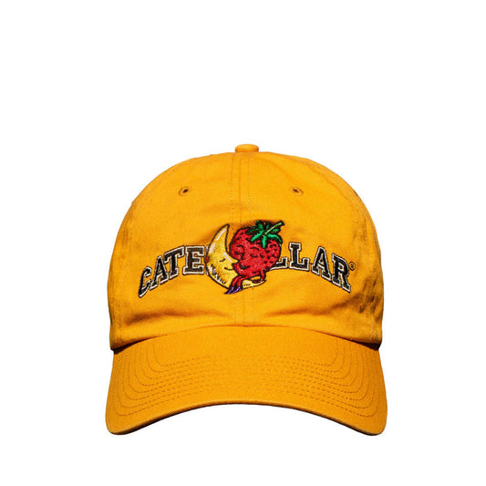 Vintage Strawberry Moon Hat Hats Sky High Farm Goods