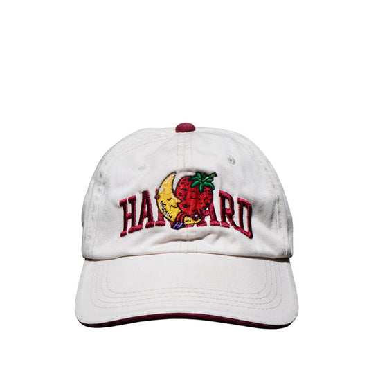 Vintage Strawberry Moon Hat Hats Sky High Farm Goods